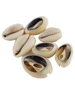 Shell Hair Bead - Image 2